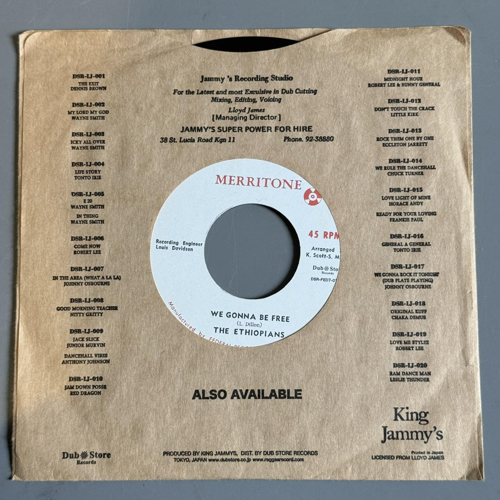 画像4: THE TERMITES / THE ETHIOPIANS — WE GONNA MAKE IT / WE GONNA BE FREE (7")　