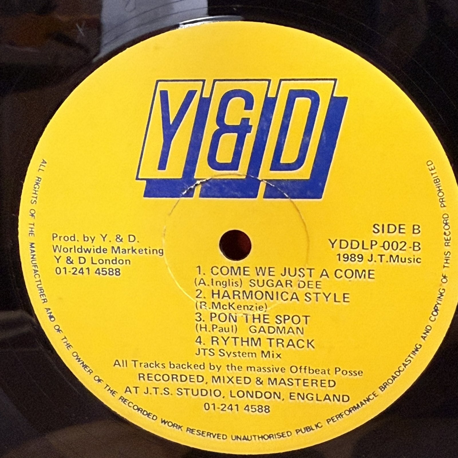 画像7: V.A. / Y&Dショーケース ~ Y&D Showcase (LP)　