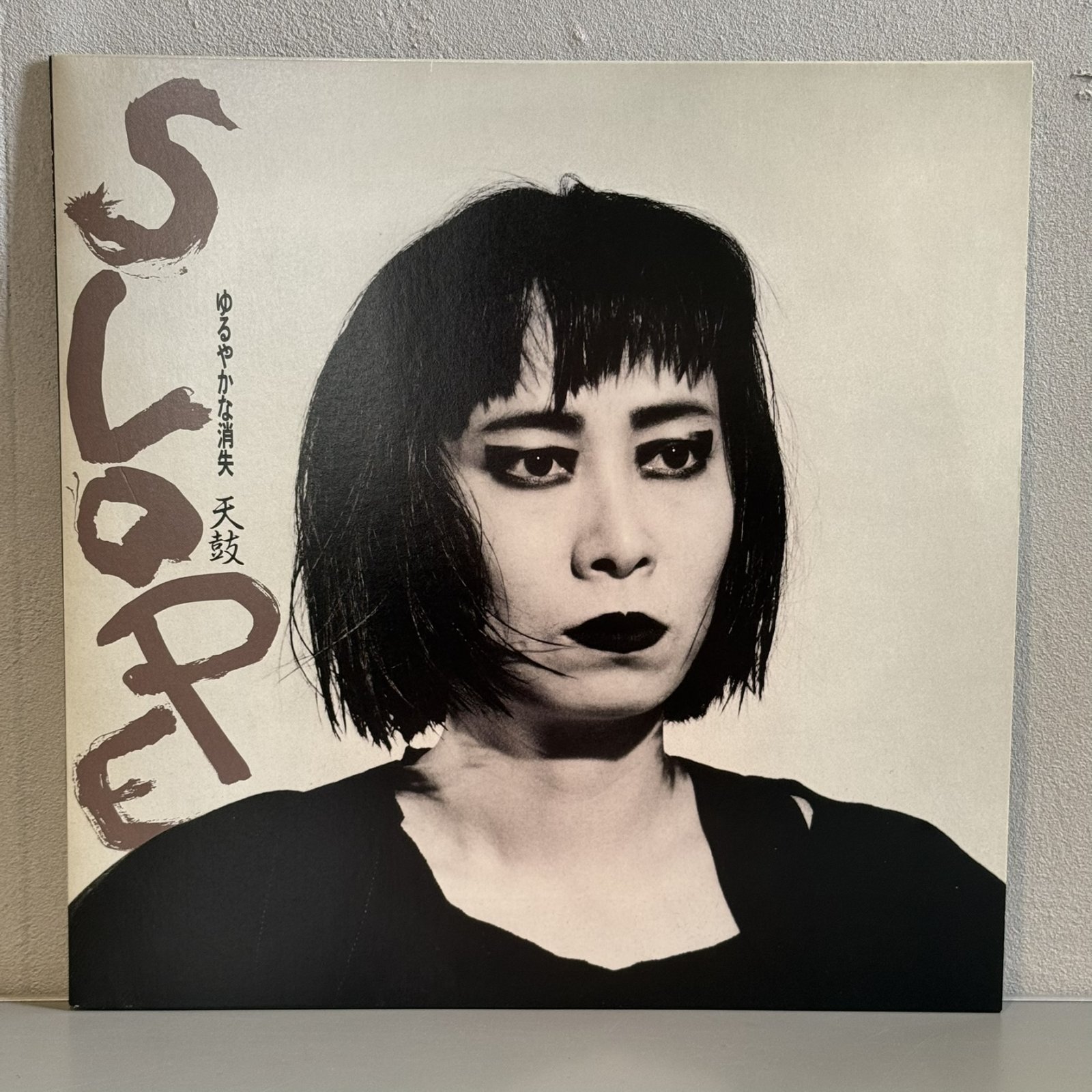 画像1: 天鼓 ~ TENKO / SLOPE ゆるやかな消失 ~ SLOPE - Gradual Disappearance (LP) 