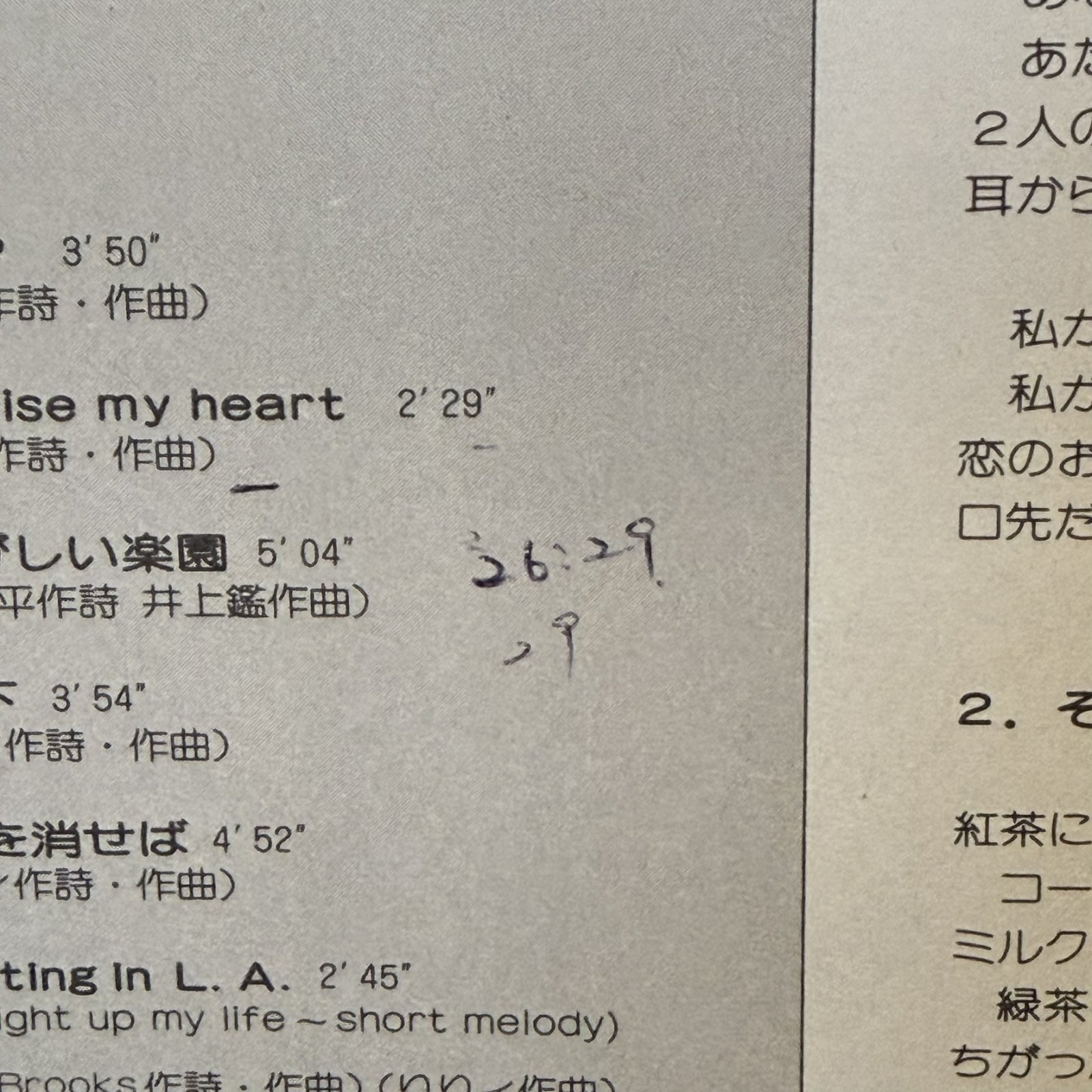 画像6: りりィ ~ Lily / ドント・ウォーリー・ドント ~ Don't Worry, Don't (LP)