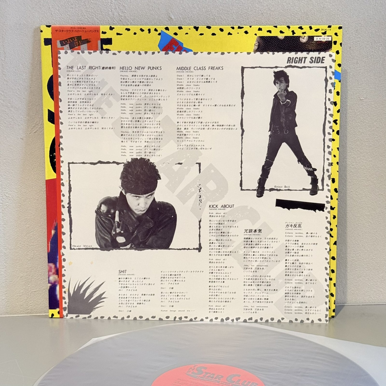 画像4: THE STAR CLUB / ハロー・ニュー・パンクス ~ HELLO NEW PUNKS (LP)