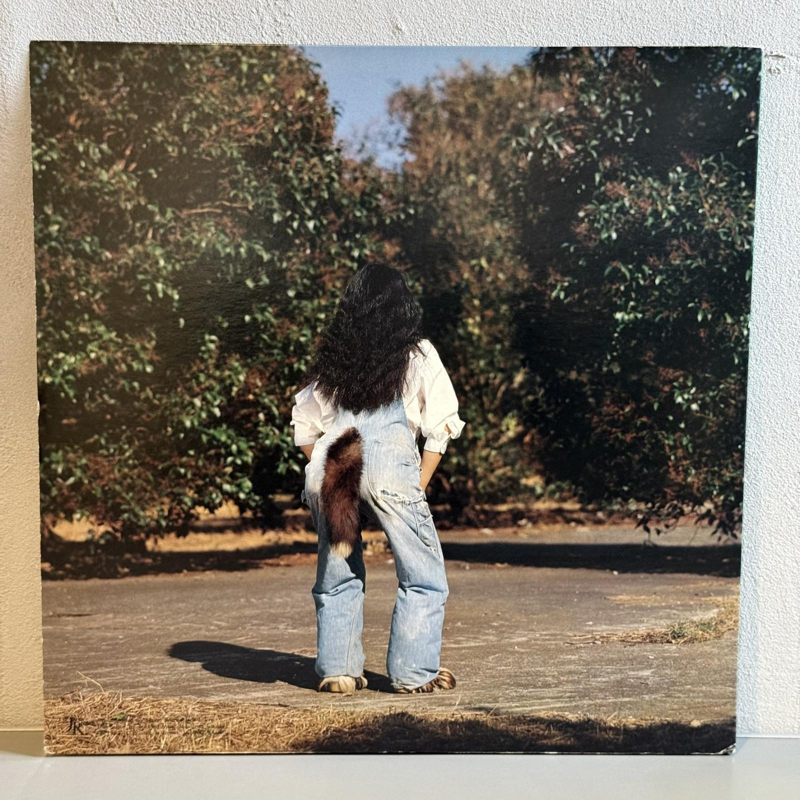 画像2: 矢野顕子 ~ Akiko Yano / ごはんができたよ (2LP)