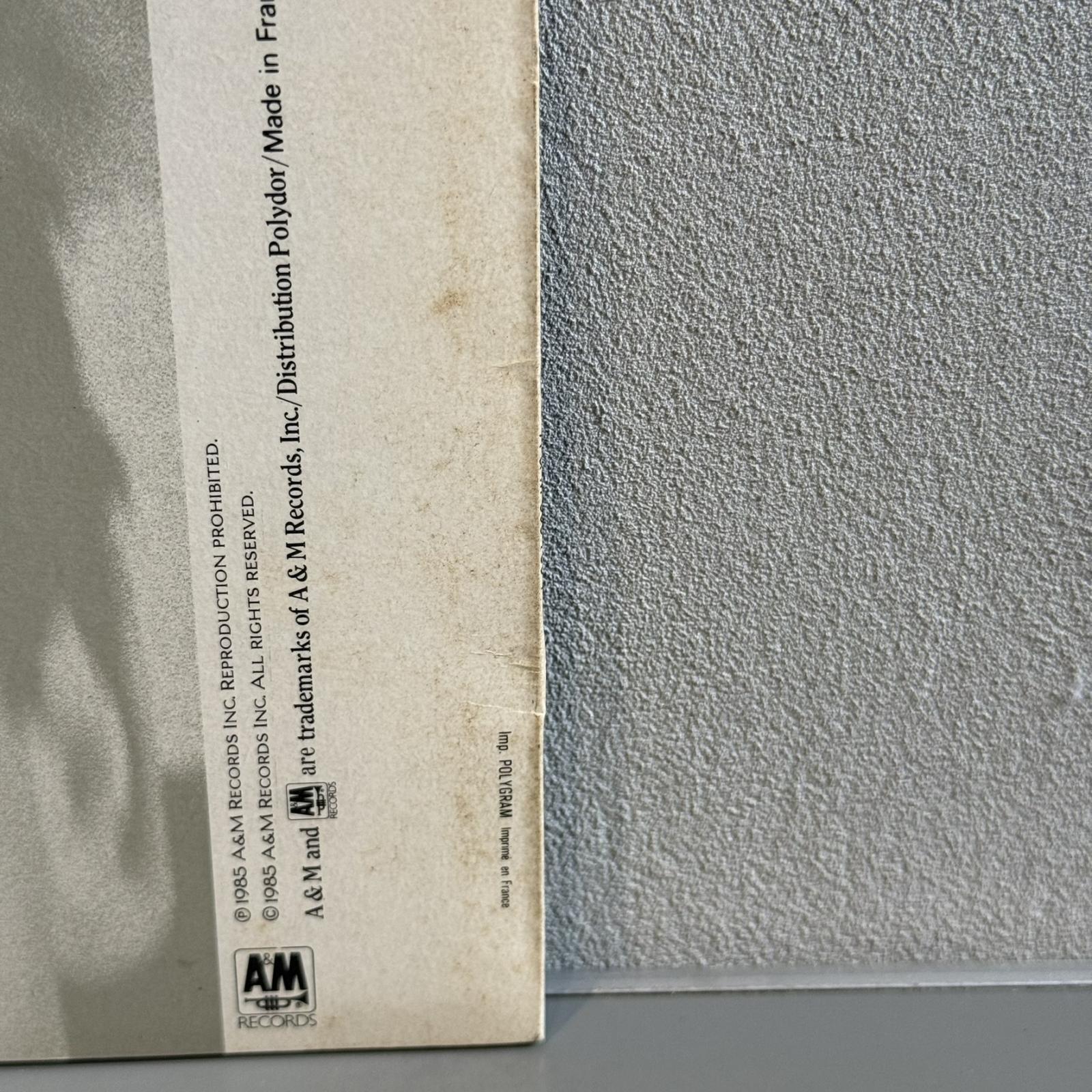 画像3: スティング ~ Sting / ブルー・タートルの夢 ~ The Dream Of The Blue Turtles (LP)