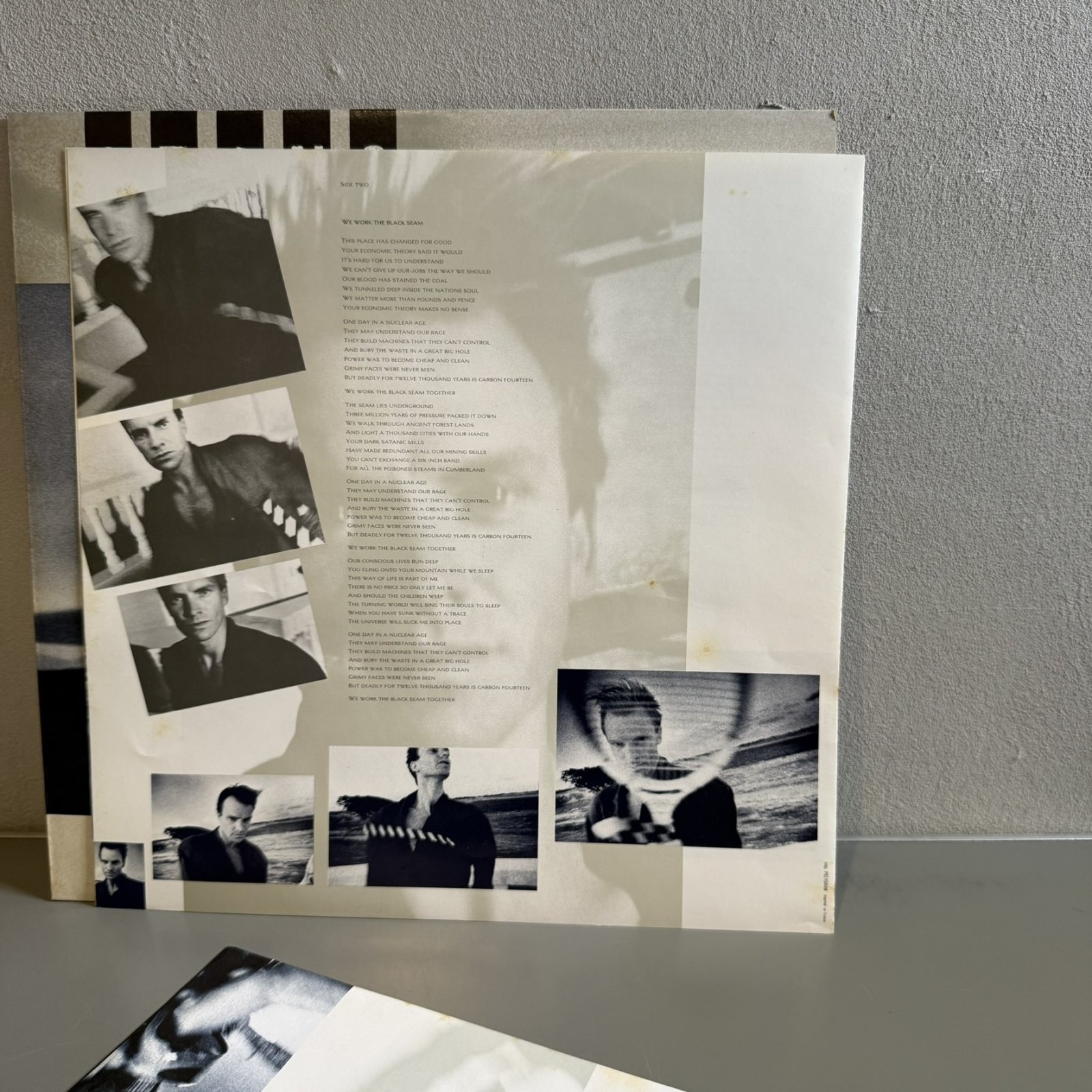 画像7: スティング ~ Sting / ブルー・タートルの夢 ~ The Dream Of The Blue Turtles (LP)