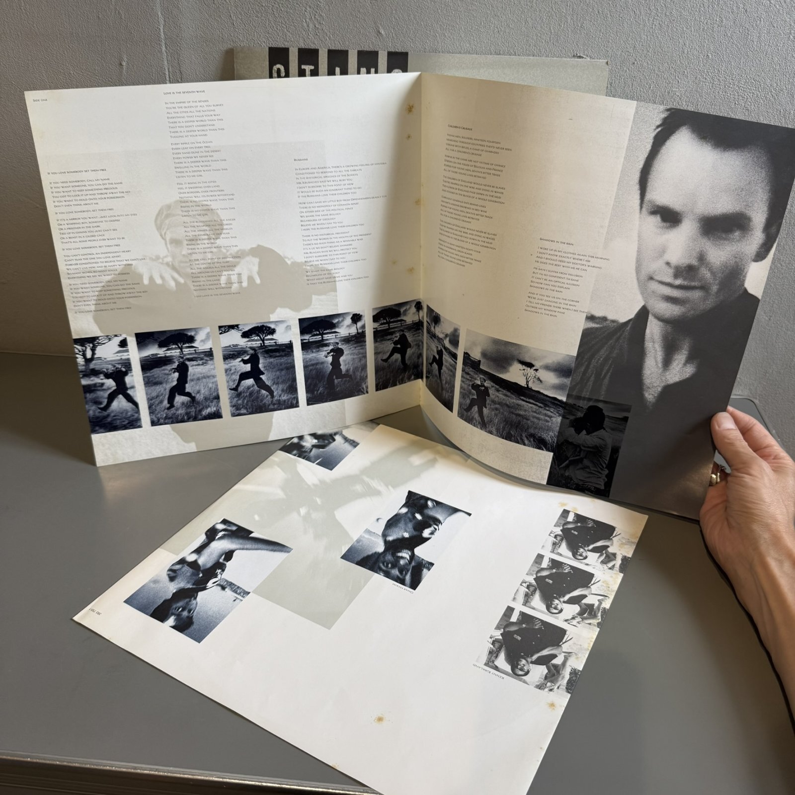 画像6: スティング ~ Sting / ブルー・タートルの夢 ~ The Dream Of The Blue Turtles (LP)