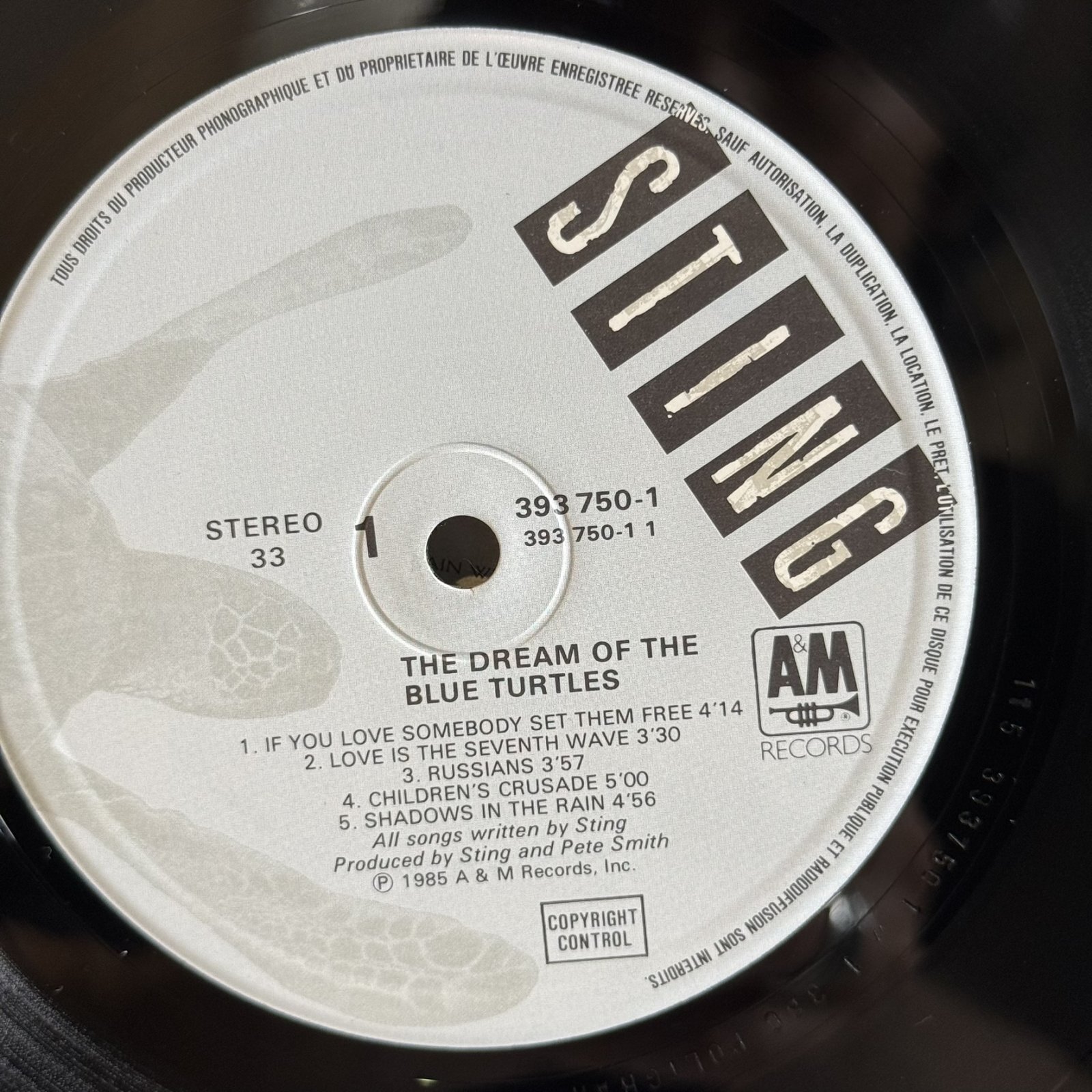 画像8: スティング ~ Sting / ブルー・タートルの夢 ~ The Dream Of The Blue Turtles (LP)
