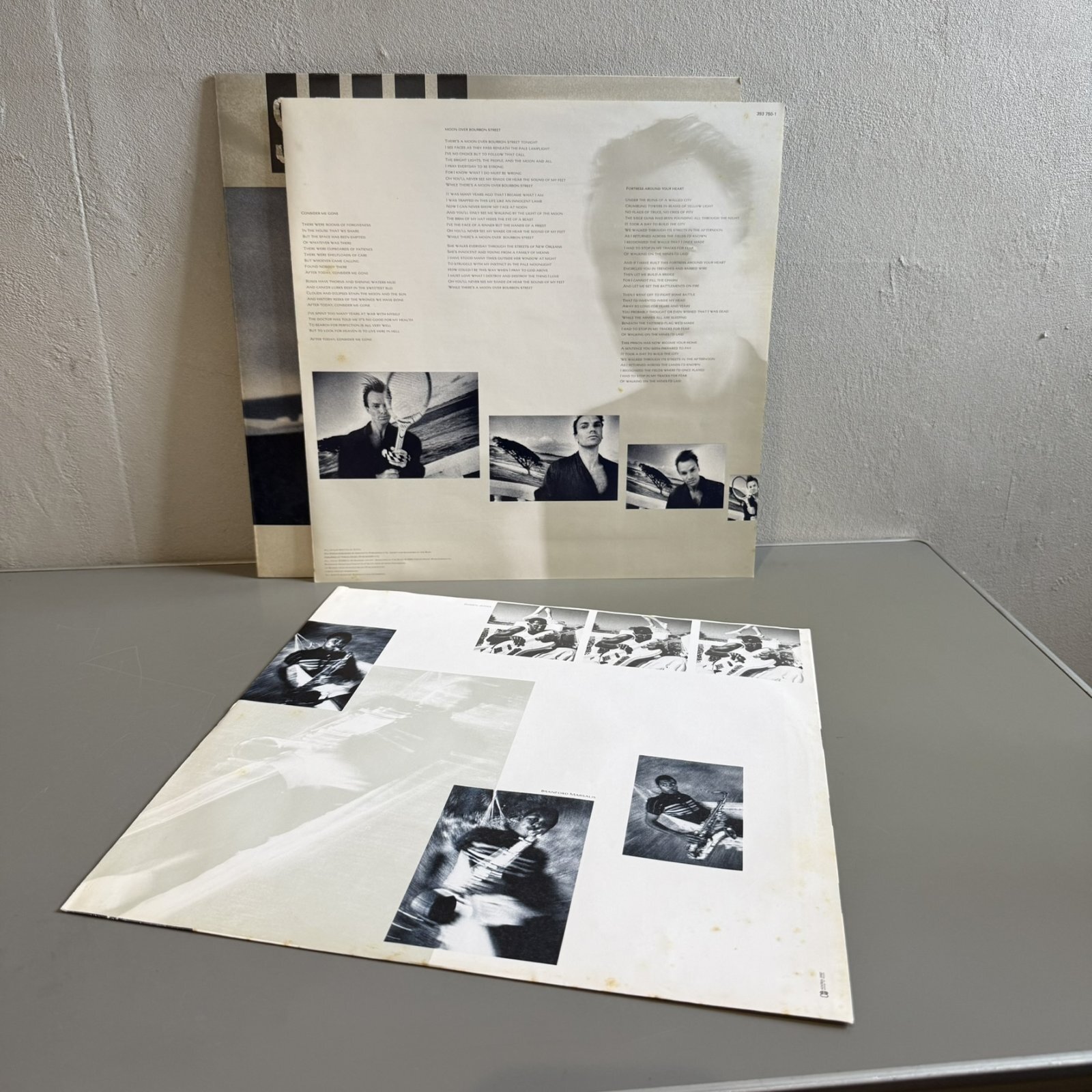 画像5: スティング ~ Sting / ブルー・タートルの夢 ~ The Dream Of The Blue Turtles (LP)