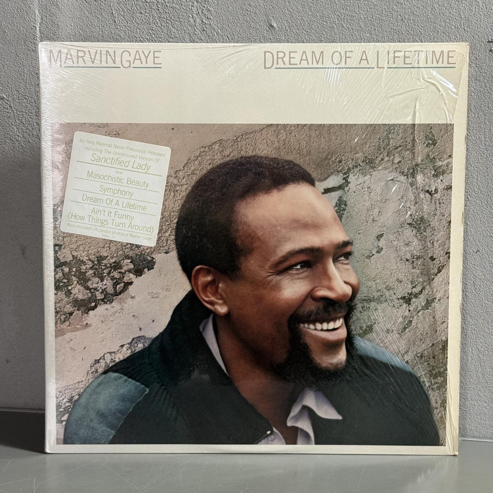 画像1: マーヴィン・ゲイ ~ Marvin Gaye / ドリーム・オブ・ア・ライフタイム ~ Dream Of A Lifetime (LP)